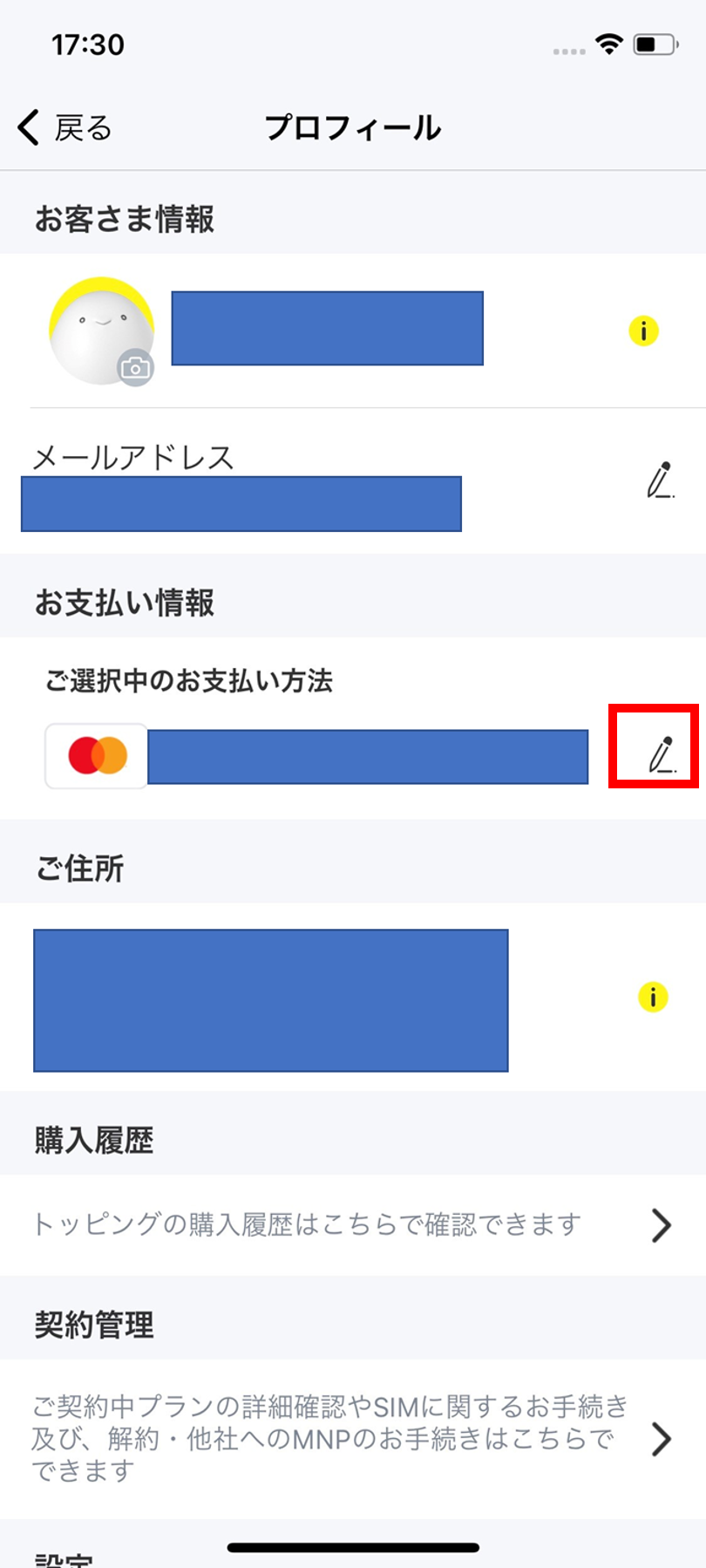 ご選択中のお支払い方法.png